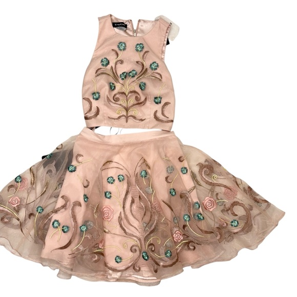 NWT bebe blush pink floral 2 piece embroidered flare sheer top dress sz 00 - Picture 4 of 10